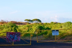 The gate directly across from the Polihale Dirt Road